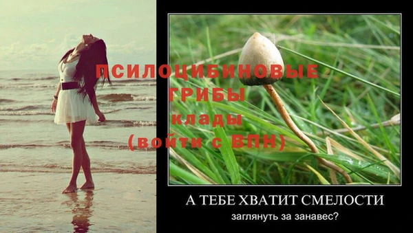 а пвп мука Абаза