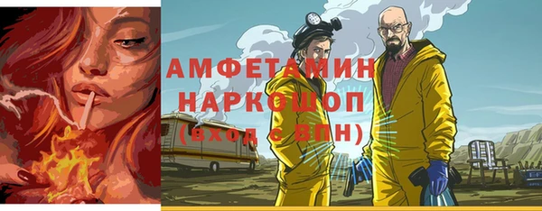 гидра Алексеевка