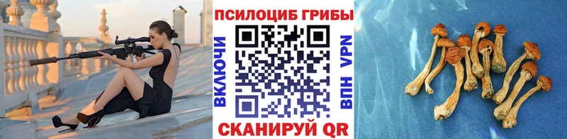 как найти закладки дарк нет телеграм Галлюциногенные грибы Cubensis Невельск